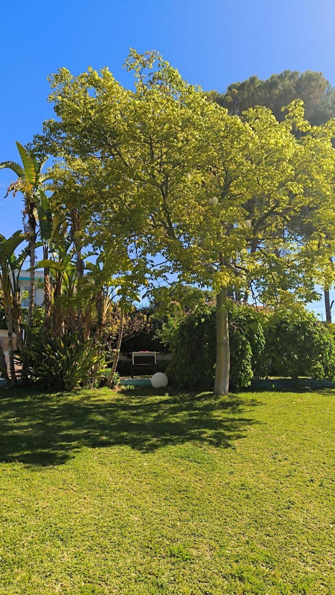 Residence Stella Del Mare Fontane Bianche Exterior foto
